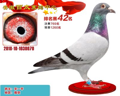 安徽百太加站赛42名