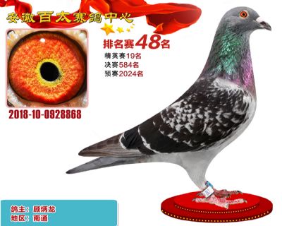 安徽百太加站赛48名