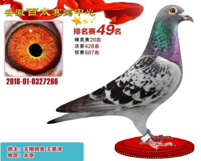 安徽百太加站赛49名