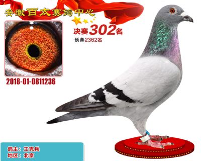 安徽百太决赛302名