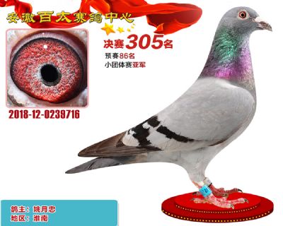 安徽百太决赛305名