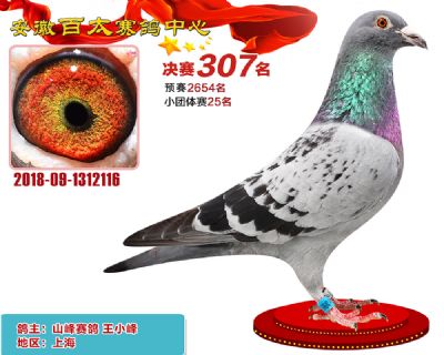 安徽百太决赛307名