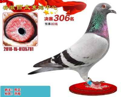 安徽百太决赛306名