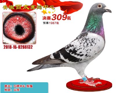 安徽百太决赛309名