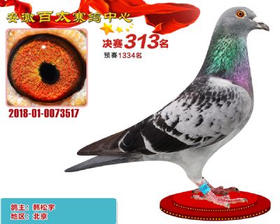 安徽百太决赛313名