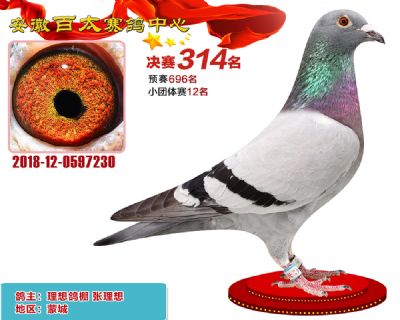 安徽百太决赛314名