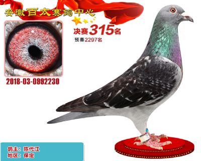 安徽百太决赛315名