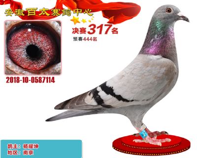 安徽百太决赛317名