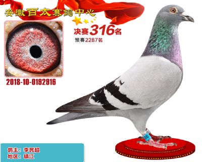 安徽百太决赛316名
