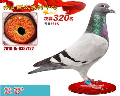 安徽百太决赛320名