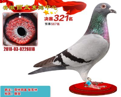 安徽百太决赛321名