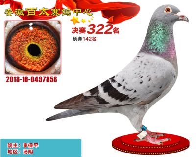 安徽百太决赛322名