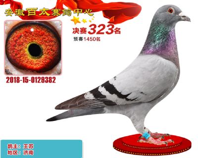 安徽百太决赛323名