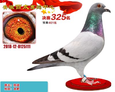 安徽百太决赛325名
