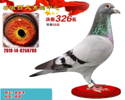 安徽百太决赛326名