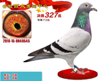 安徽百太决赛327名