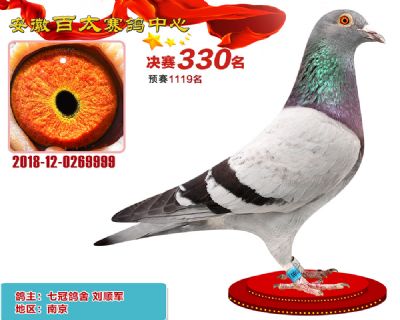 安徽百太决赛330名