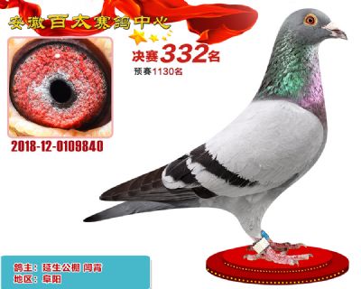 安徽百太决赛332名
