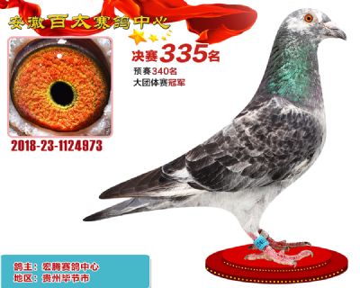 安徽百太决赛335名