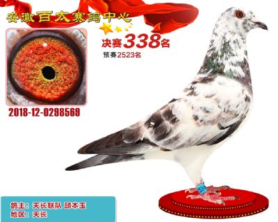 安徽百太决赛338名