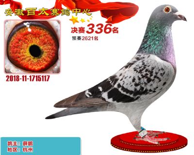 安徽百太决赛336名