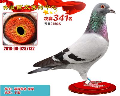 安徽百太决赛341名