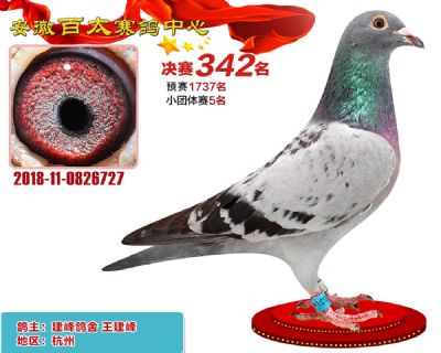 安徽百太决赛342名
