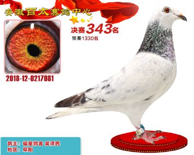 安徽百太决赛343名