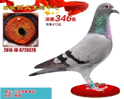 安徽百太决赛346名