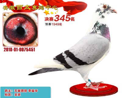 安徽百太决赛345名
