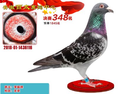 安徽百太决赛348名