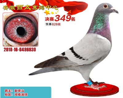 安徽百太决赛349名