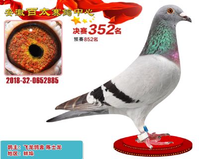 安徽百太决赛352名