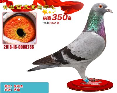 安徽百太决赛350名