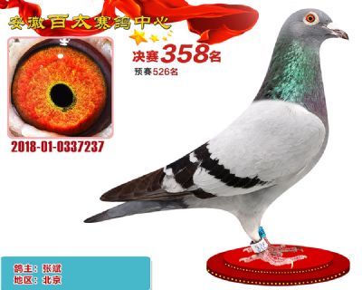 安徽百太决赛358名