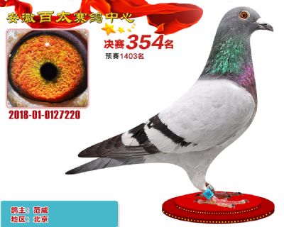 安徽百太决赛354名