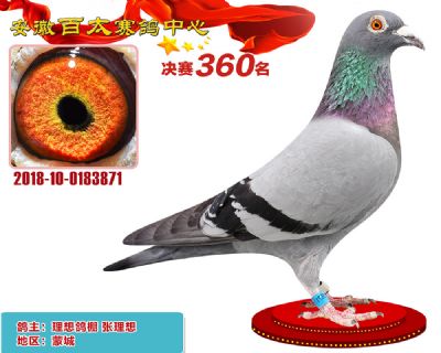 安徽百太决赛360名