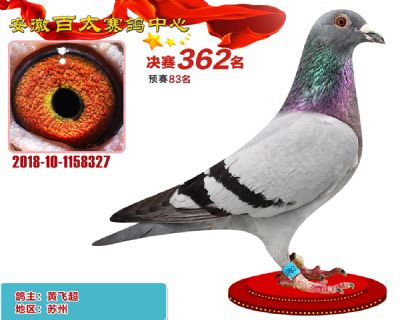 安徽百太决赛362名