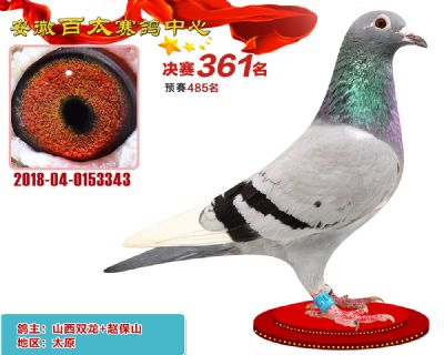 安徽百太决赛361名