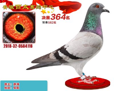 安徽百太决赛364名