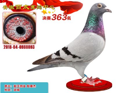 安徽百太决赛363名