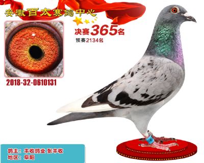 安徽百太决赛365名