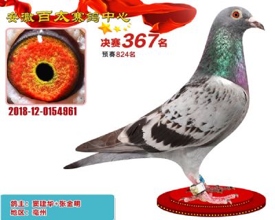 安徽百太决赛367名