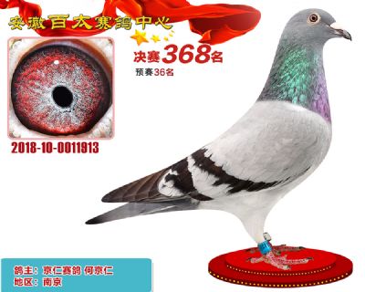 安徽百太决赛368名