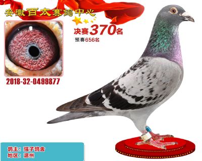 安徽百太决赛370名