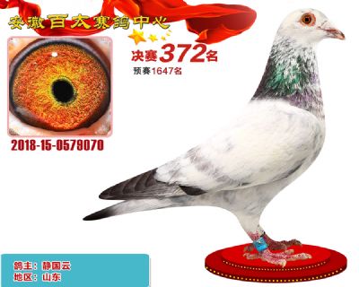 安徽百太决赛372名