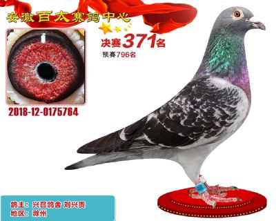 安徽百太决赛371名