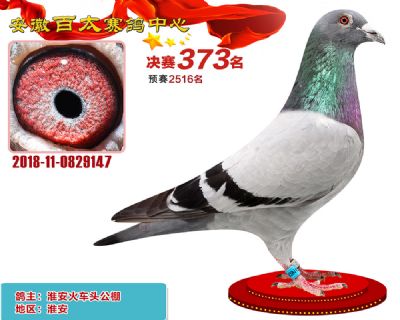 安徽百太决赛373名