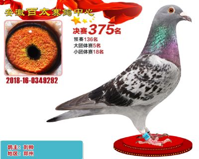 安徽百太决赛375名
