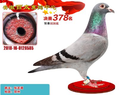 安徽百太决赛378名